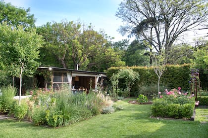 El rosedal con diferentes especies. Las favoritas: ‘Elle’, ‘Claire Martin’, ‘Jardins de France’ y ‘Jubilee Celebration’