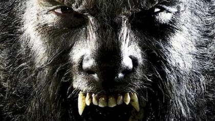 El rostro de un lobizón, una criatura mitológica que causó temor en Corrientes