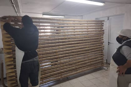 El salame más largo de la Argentina comenzó a elaborarse hace más de 30 días y se comerá el próximo domingo 3 de julio