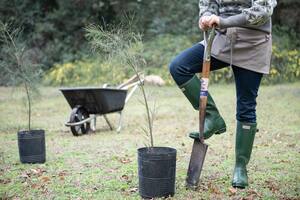 El salario de los caseros en agosto de 2024