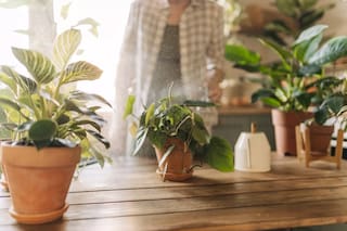 Cuánto cobran los caseros en octubre