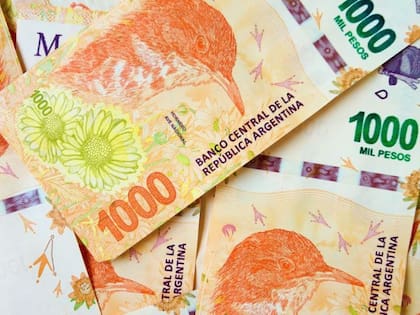 El Salario Mínimo Vital y Móvil (SMVyM) es una referencia para las distintas áreas de la economía nacional