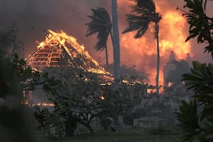 Evacuaciones, desesperación y destrucción: al menos 36 muertos por los incendios en Hawai