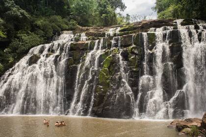 El Salto Yasi, imperdible.