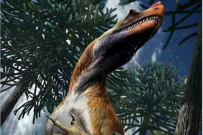 El Saltriovenator era bípedo, medía ocho metros, pesaba una tonelada y vivió 25 millones de años antes que otros dinosaurios carnívoros