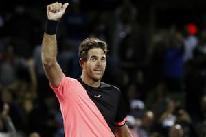 Del Potro: "Mi mejor virtud fue no bajar los brazos"