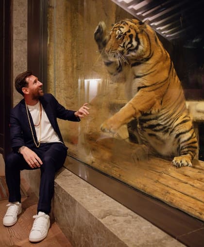 El saludo de Messi al tigre