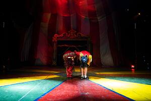Vida de circo, donde la pasión y la fantasía se unen