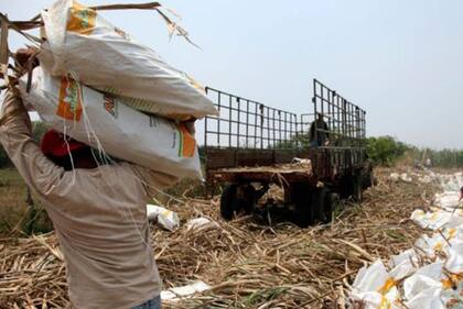 El Salvador, Guatemala y Nicaragua han concentrado la mayoría de casos de enfermedad renal crónica entre hombres jóvenes.