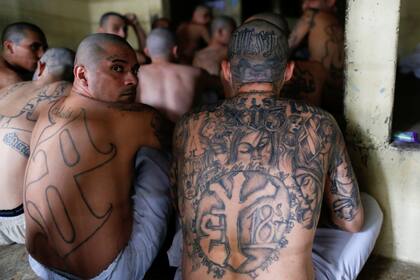 Los típicios tatuajes de los integrantes de las distintas pandillas