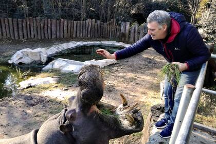 El santuario privado que recoge desde yaguaretés a tigres en la llanura pampeana