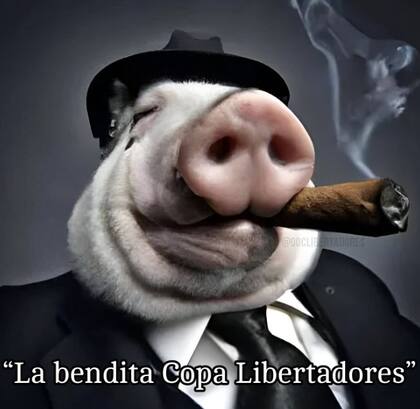 El sarcasmo de los hinchas en redes sociales