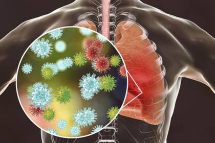 El SARS-CoV-2 se encuentra tanto en el tracto respiratorio superior como en el inferior