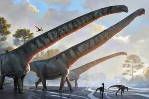Identificaron al dinosaurio con el cuello más largo jamás descubierto