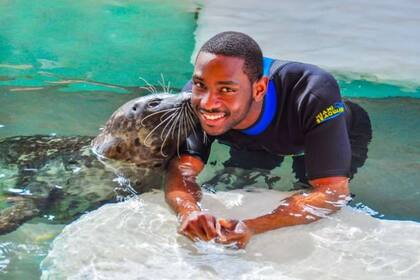 El Seaquarium de Miami ofrece la posibilidad de nadar con delfines y lobos marinos