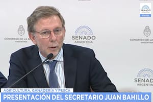 El secretario de Agricultura, Juan José Bahillo, estuvo en el Senado de la Nación