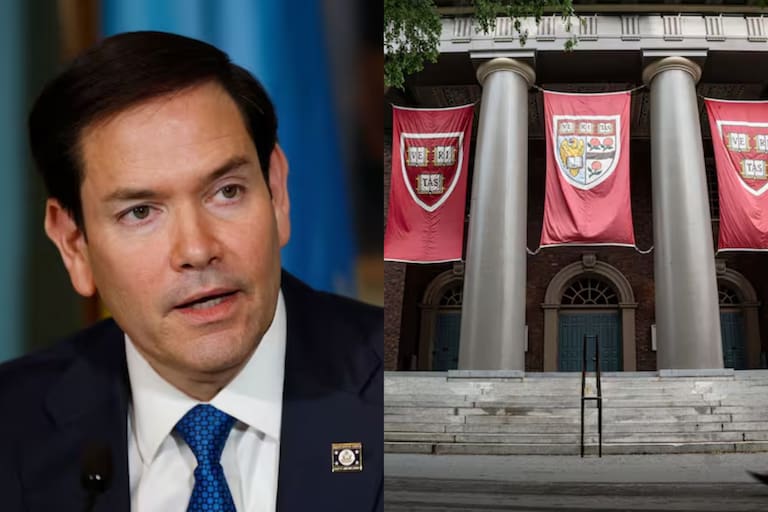Preguntas y respuestas sobre la suspensión de visas para estudiantes: la orden de Marcos Rubio para controlar las redes - LA NACION