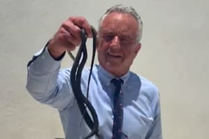 Robert Kennedy Jr. fue filmado mientras capturaba dos serpientes en un patio y el video se hizo viral