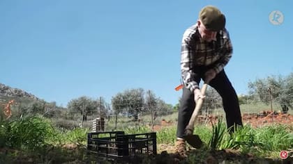 El secreto de Domingo para llegar al siglo de vida es trabajar de lo que a él siempre le gustó, la agricultura