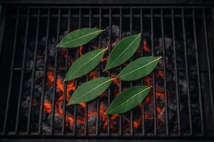 El secreto de por qué hay que arrojar hojas de laurel a las brasas del asado
