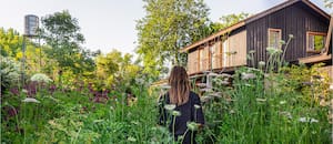 Por qué los paisajistas diseñan para que parezca espontáneo