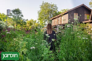 Por qué los paisajistas diseñan para que parezca espontáneo