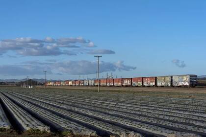 El sector agrícola aporta millones de dólares al año al condado de Monterrey, California