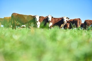 Los ganadores y perdedores en las economías regionales