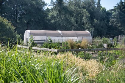 El sector de la huerta, de 125 metros cuadrados.