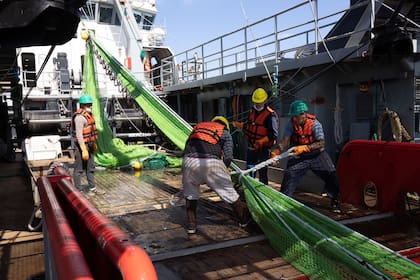 El sector de la pesca se vería afectado por las mayores retenciones