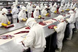 El sector espera retomar parte de la actividad frenada por el cepo