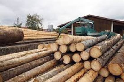 El sector llegó a exportar por US$1000 millones, pero no pudo sostener ese nivel