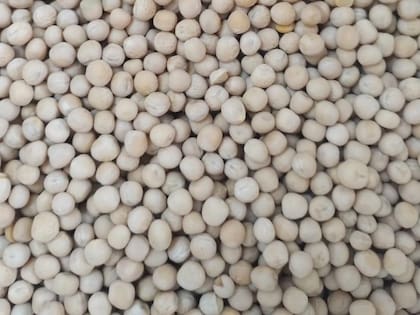 El sector local viene incorporando mejoras tecnológicas en todas las etapas