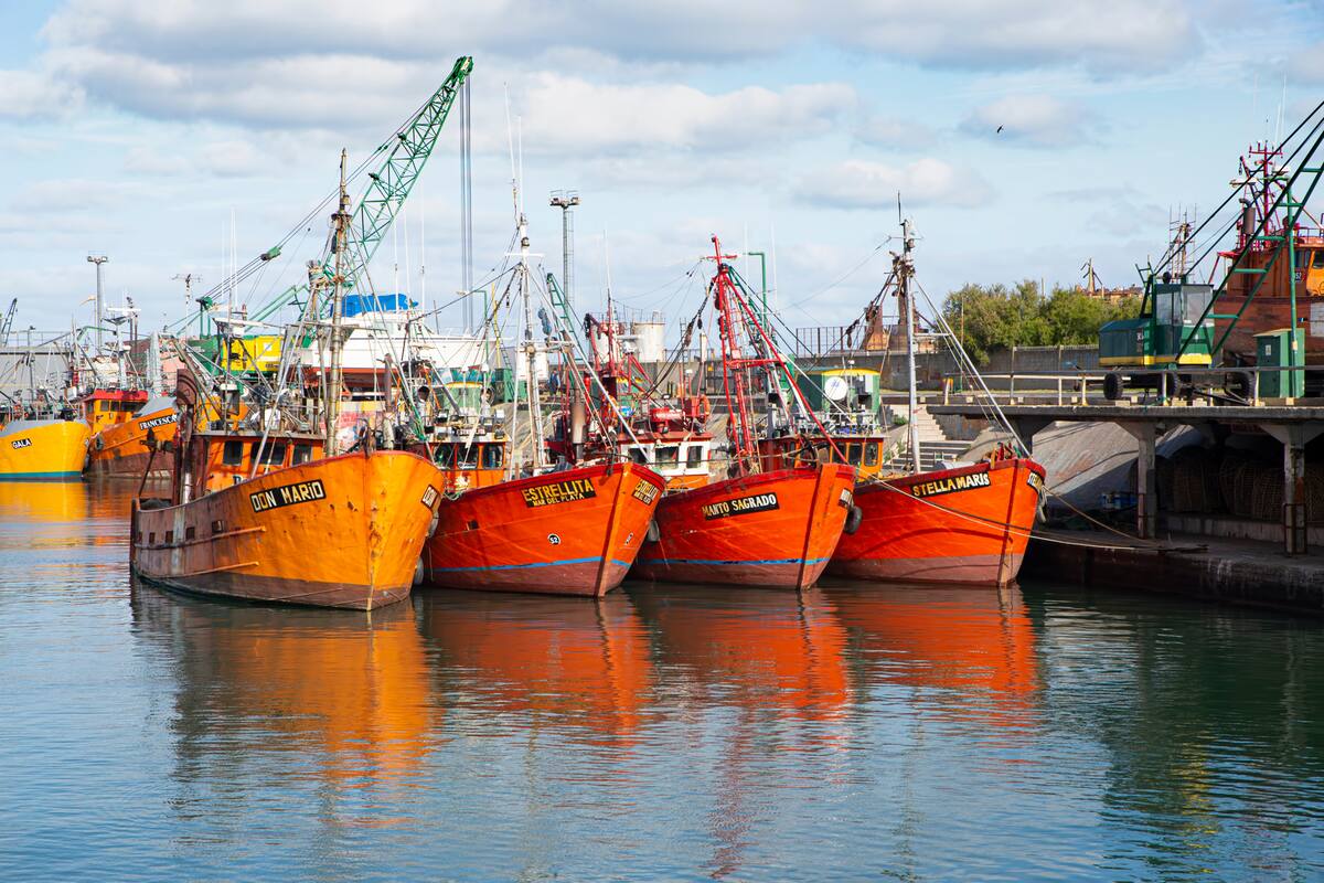 Aunque sin una definición, el Gobierno analiza una baja de las retenciones a la pesca - LA NACION