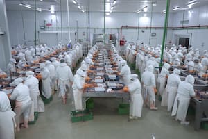 El sector pesquero le volvió a pedir a Caputo que elimine las retenciones porque está “relegado”