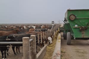 Advierten que un requisito del RIMI deja afuera inversiones del campo