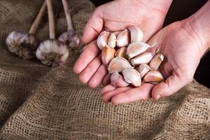 El sector tiene exportaciones por US$180 millones