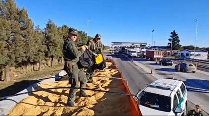 El secuestro de más de 82 kilos de cocaína ocultos en un cargamento de harina de soja, en Santiago del Estero