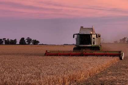 El segundo campo es San Félix, de 1591 hectáreas, en el partido bonaerense de 25 de Mayo, donde combinan agricultura y ganadería con un modelo intensivo, basado en pastoreo racional sobre cultivos verdes