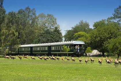 El segundo día se programa la primera parada; un safari de avistaje de animales en la reserva privada de Nambiti