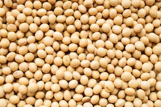 Tras el aluvión de ventas de Brasil, el mercado de la soja tiene chances de repuntar en el corto plazo