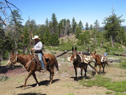 El semillero de avistamientos de Sasquatch en las montañas Klamath-Siskiyou del noroeste de California y el suroeste de Oregón llevó a la creación del Bigfoot Trail