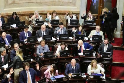 El Senado aprobó la ley de financiamiento universitario presentada por el bloque de diputados de la Unión Cívica Radical, pero el Presidente advirtió que podría vetarla