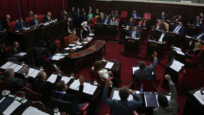 El Senado bonaerense aprobó el límite a las reelecciones de intendentes