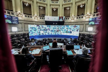 El Senado comenzó la sesión especial en la que se sancionó la Ley de Fibrosis Quística por videoconferencia 