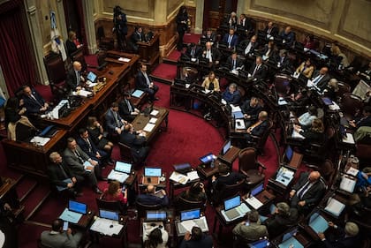 El Senado convirtió en ley la emergencia pediátrica