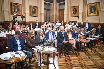 El Senado le dio dictamen al régimen penal juvenil