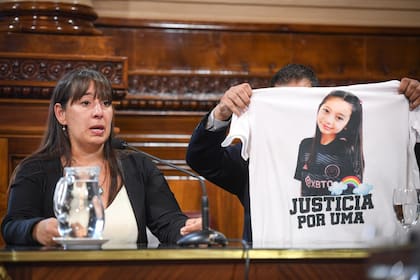 El Senado le dio dictamen al régimen penal juvenil