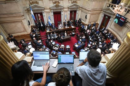 El Senado ratificó este jueves el acuerdo de libre comercio entre el Mercosur y la Unión Europea por amplia mayoría