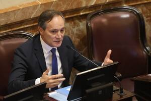 El kirchnerismo ahora presiona a Camau Espínola para que renuncie a la banca